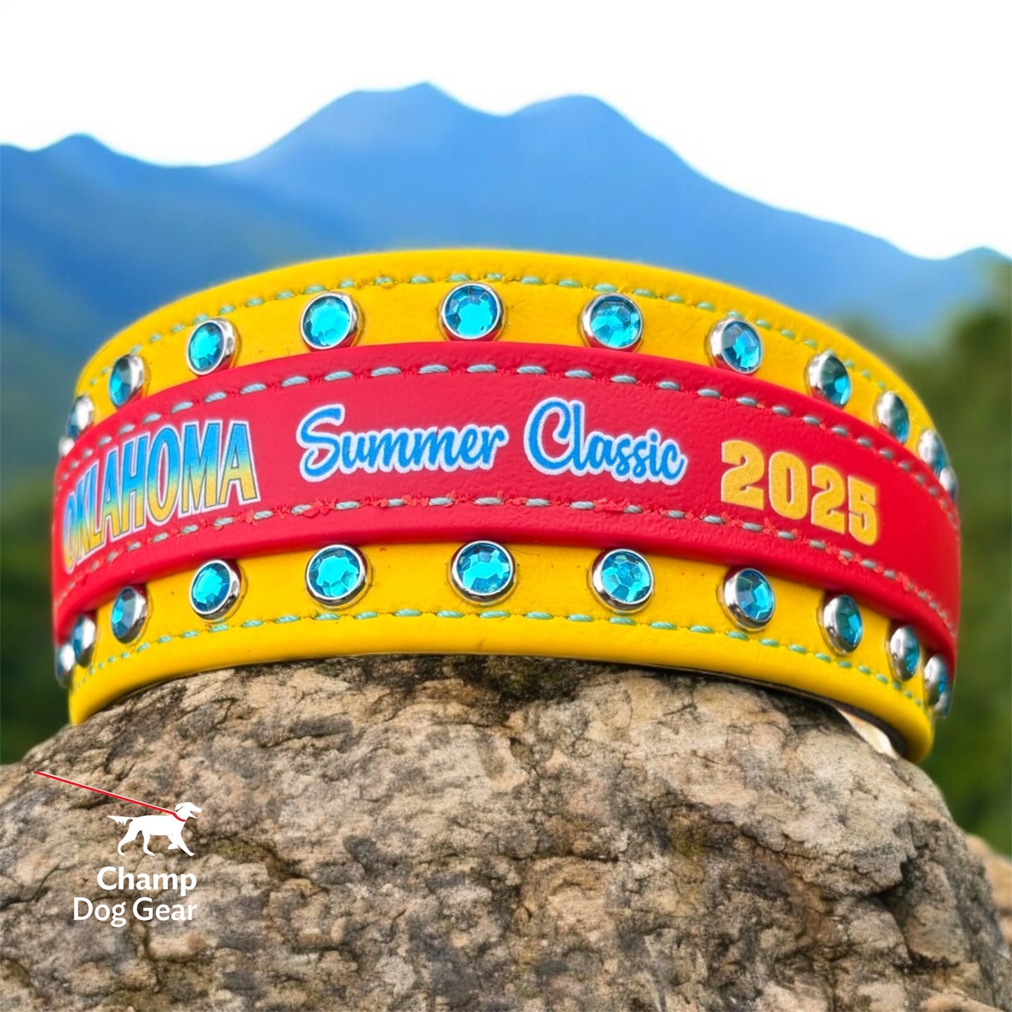 B. 2" OKC Collar - 2025 BioThane® Collar